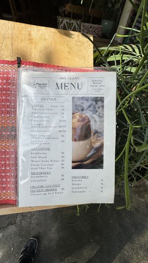   at Rad Rabbit in Chiang Mai