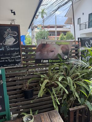   at Rad Rabbit in Chiang Mai