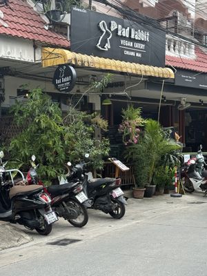   at Rad Rabbit in Chiang Mai