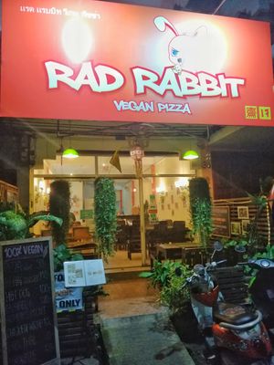Rad rabbit at Rad Rabbit in Chiang Mai