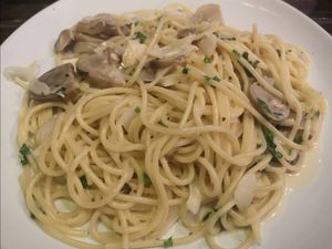 Coconut Alfredo 🥥 at Rad Rabbit in Chiang Mai