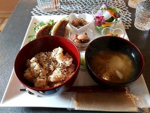Gyozas at Vegetable Cafe Lyra in Sapporo