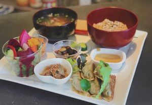Lunch gyoza set at Vegetable Cafe Lyra in Sapporo