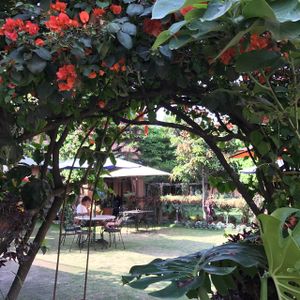 entrance at Rabsel Garden Cafe at Shechen Monastery in Kathmandu