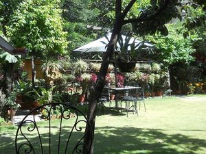 Garden at Rabsel Garden Cafe at Shechen Monastery in Kathmandu