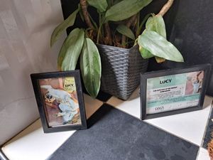  at Rainbow Cafe in Ella