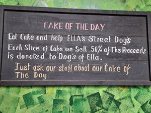 Lekker eten en de zwerfhonden steunen  #Veganuary at Rainbow Cafe in Ella