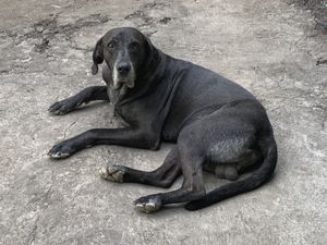 Such a character!  at Rainbow Cafe in Ella