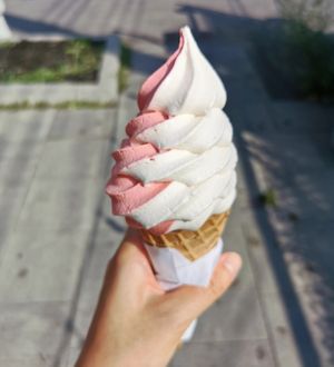 Vegan soft serve in waffle cone at Hoche Glace in Montreal
