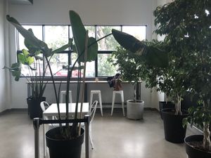 Inside at Hoche Glace in Montreal