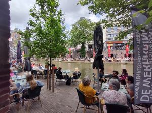A summer lunch on the terrace of De Werfkring. at De Werfkring in Utrecht