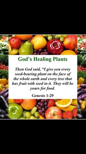 Fruit is King at The Juice Standard - S Las Vegas in Las Vegas