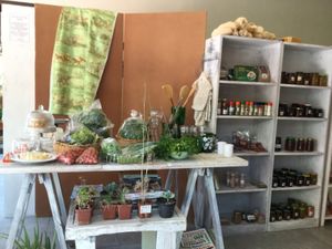 the shop! at The Vege Table - Nature's Path in Swakopmund