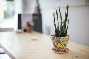interior at Mashery - Hummus Kitchen in Cologne