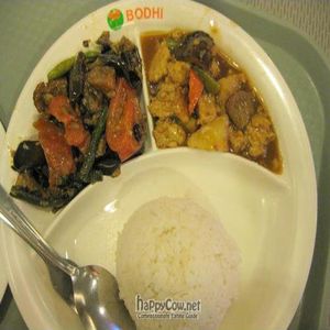 Rice & two selections at Harvesters Vegetarian in Mandaluyong