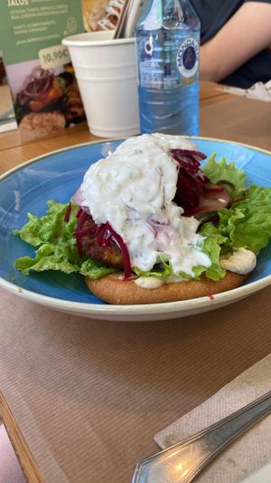 vegetarian falafel  at Jalos in Zaragoza