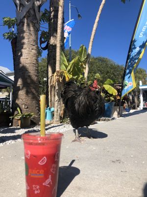 Beetnick juice !!! at GoJuice in New Smyrna Beach