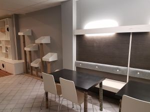 Cat area seating at Feline Cafe in Ottawa