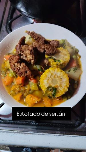 Seitan stew at Granito de Arena Vegano in Puerto Montt