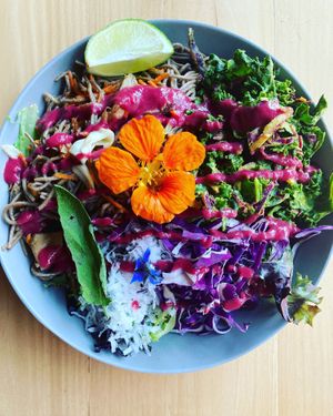  at Juice Pharm in Duluth