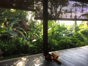 garden view from spa at Darshana Lodging Spa and Yoga in Ubud