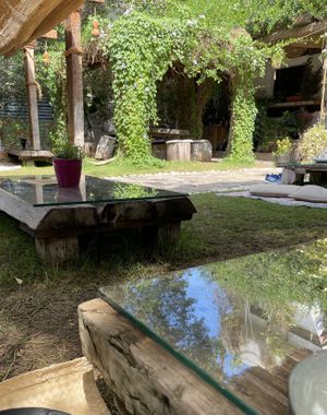 The garden at Seva Table in Dubai