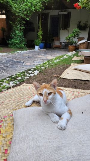  at Seva Table in Dubai