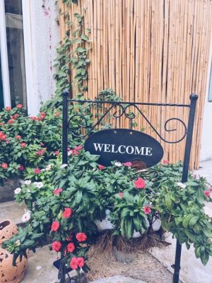 welcome to life'n one :) at Seva Table in Dubai