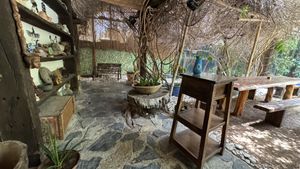   at Seva Table in Dubai