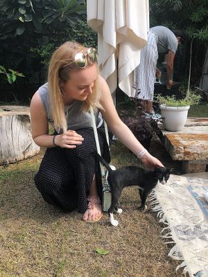 Sweet little kitten!  at Seva Table in Dubai