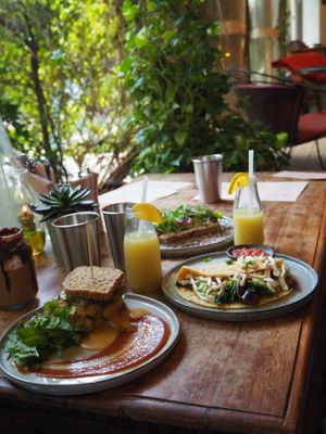 Food time at Seva Table in Dubai