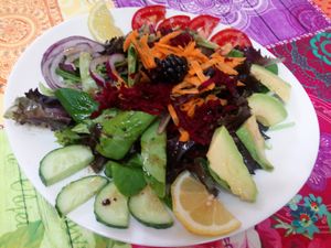 Rainbow salad at Telos Comida Casera Natural Vegetariana y Vegana in San Lorenzo De El Escorial