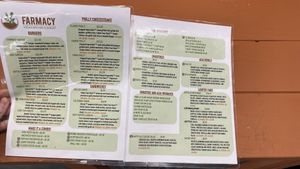 Fuego Philly  at Farmacy Vegan Kitchen & Bakery in Tampa