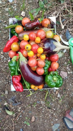   at Zrodlo Zdrowego Zycia in Wroclaw