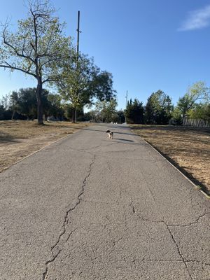   at Zrodlo Zdrowego Zycia in Wroclaw