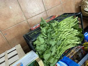   at Zrodlo Zdrowego Zycia in Wroclaw