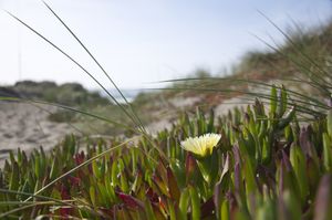 Fgfgh  at Zrodlo Zdrowego Zycia in Wroclaw