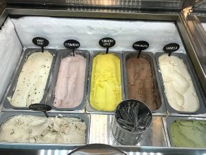 1/2 of the 12 flavors at Mr. Dewie's Cashew Creamery in Emeryville