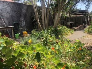Garden with lots of butterflies 🦋  at Garden Grub Cafe in Wingham