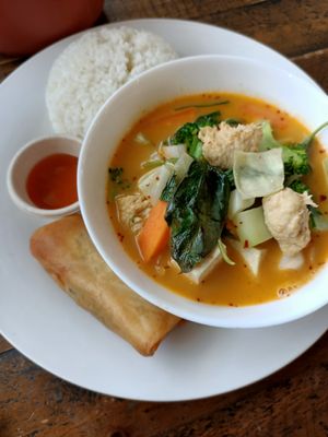 Entree - spring roll and main - curry and rice with a drink at PingAn Veggie Time in Bowden