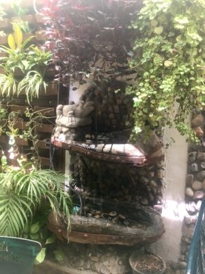 A waterfall in the rear garden kinda dining area.  There were many cool things, but too many patrons to shoot much. at El Jardin Buffet Nutricional Vegetariano in Guadalajara