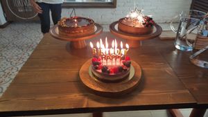   at Tökmag Vegan Street Food in Budapest