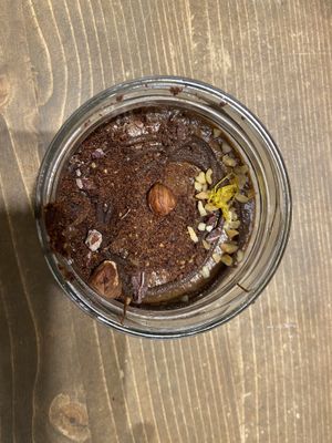   at Tökmag Vegan Street Food in Budapest