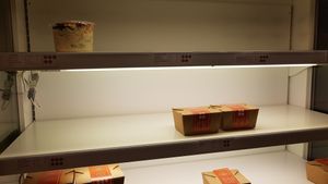  at Tökmag Vegan Street Food in Budapest