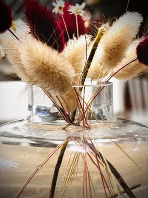   at Tökmag Vegan Street Food in Budapest