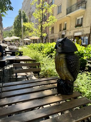   at Tökmag Vegan Street Food in Budapest