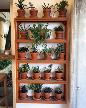 Too cute!  at Tökmag Vegan Street Food in Budapest