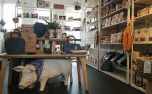 tAK | a plant-based concept store @Kortrijk Belgium at tAK in Kortrijk