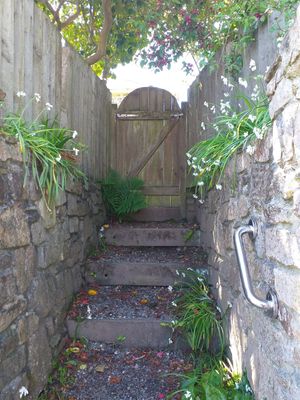The steps up to the entrance at Planted - Vegan Self-Catering Studio in St Agnes