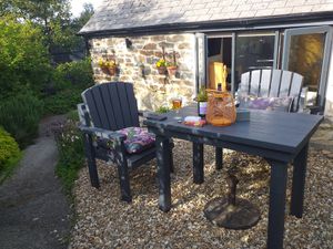 Gorgeous sheltered garden at Planted - Vegan Self-Catering Studio in St Agnes